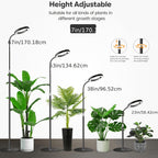 Lampadaire de croissance LED pour plantes à anneau unique, noir