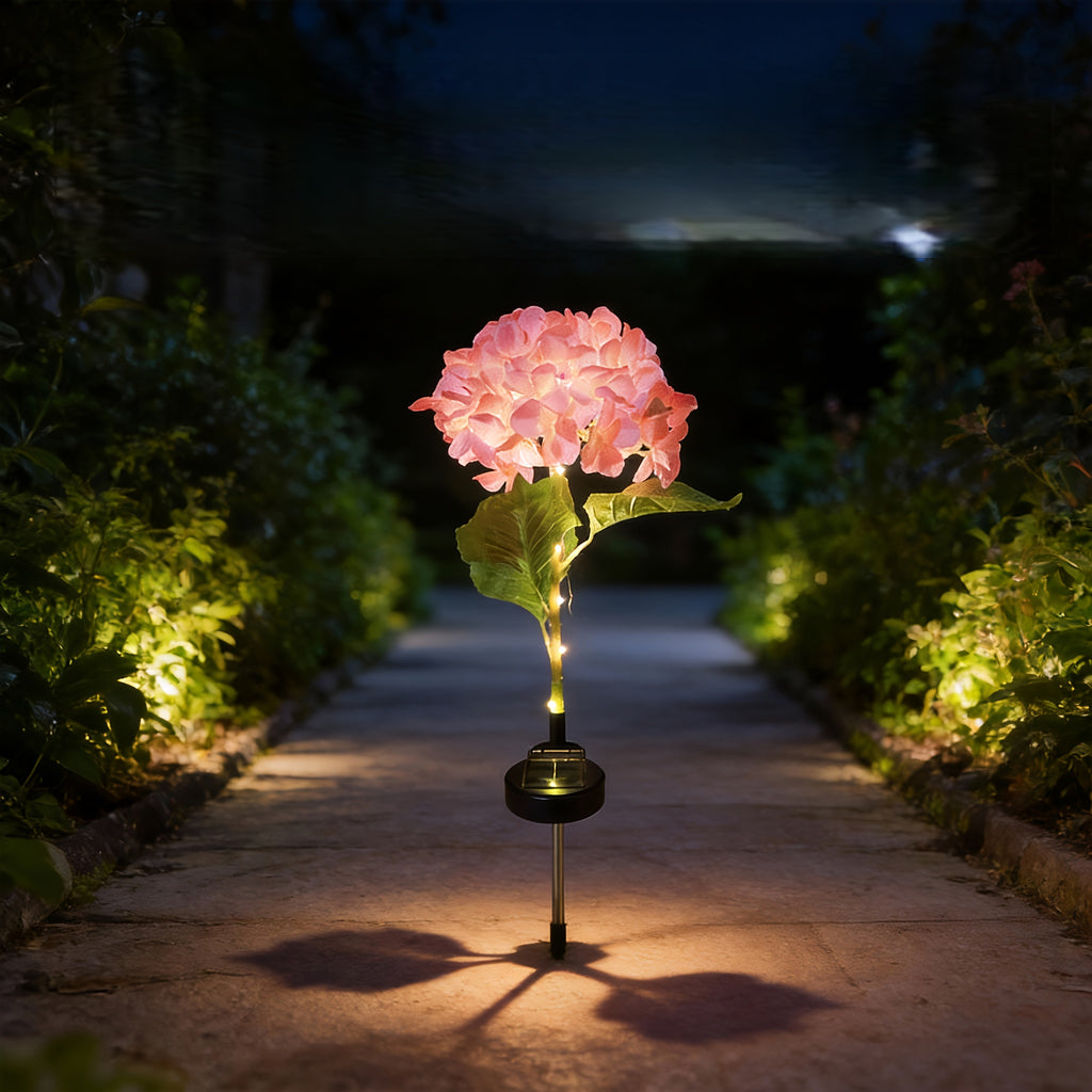Hortensia à Grande Fleur Unique - Rose, 1PC