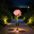 Hortensia à Grande Fleur Unique - Rose, 1PC